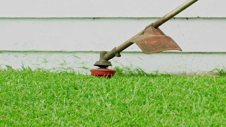 Best Lawn Renovation and Restoration  in Palos Hls, IL